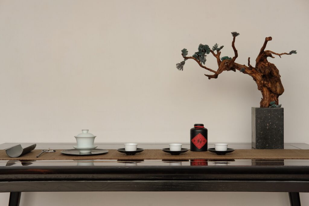 Bonsai tree on table with tea cups