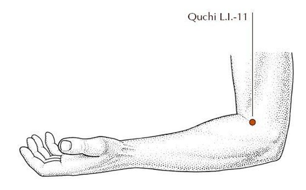 diagram of large intestine 11